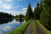 DSC_0693a.jpg