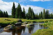 DSC_1218.jpg