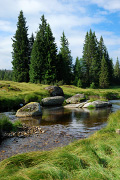 DSC_1229.jpg