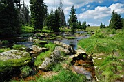 DSC_2605.jpg
