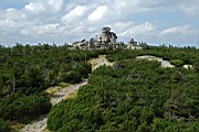 DSC_4229.jpg
