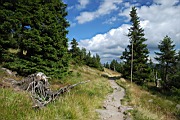 DSC_4261.jpg