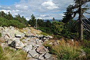 DSC_4318.jpg