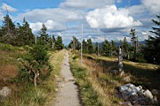 DSC_4337.jpg