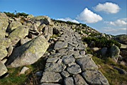 DSC_4343.jpg