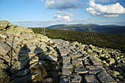 DSC_4350.jpg