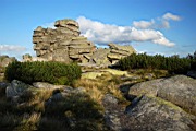 DSC_4354.jpg