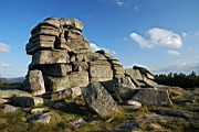 DSC_4356.jpg