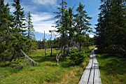 DSC_4382.jpg