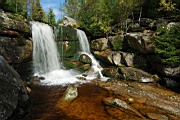 DSC_4477.jpg