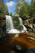 DSC_4496.jpg