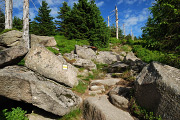 DSC_4602.jpg