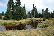 DSC_4764.jpg