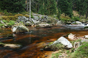 DSC_4804.jpg