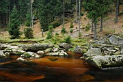 DSC_4818.jpg
