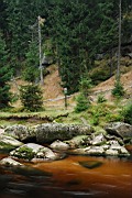 DSC_4819.jpg