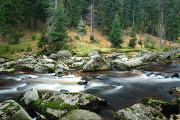 DSC_4837.jpg