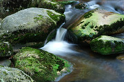 DSC_4864.jpg