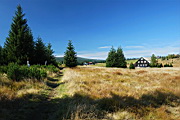 DSC_6663.jpg