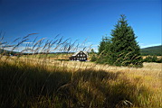 DSC_6672.jpg