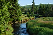 DSC_7492.jpg