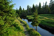 DSC_7498.jpg