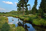 DSC_7523.jpg