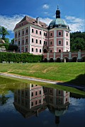 DSC_7679.jpg