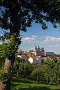 DSC_0140.JPG