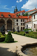 DSC_1177.jpg
