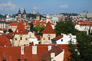 DSC_2205.jpg
