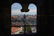 DSC_3464.JPG