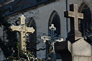 DSC_3510.JPG