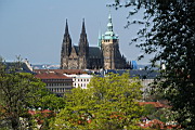 DSC_4144.JPG