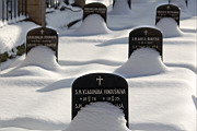 DSC_4279.JPG