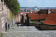 DSC_4860.JPG