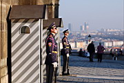 DSC_5795.JPG