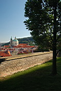 DSC_6308.JPG