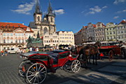 DSC_6961.JPG