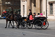 DSC_7753.JPG
