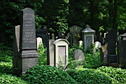 DSC_7916.jpg