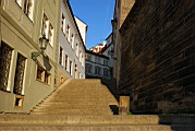 DSC_8047.jpg