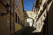 DSC_8203.jpg