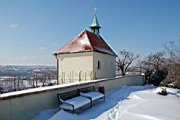 DSC_9114.JPG