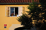 DSC_9141.jpg