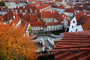 DSC_9839.jpg