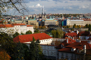 DSC_9868.jpg