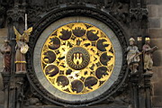 IMG_2397.jpg