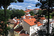 IMG_3273.JPG