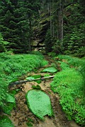 DSC_0076.jpg